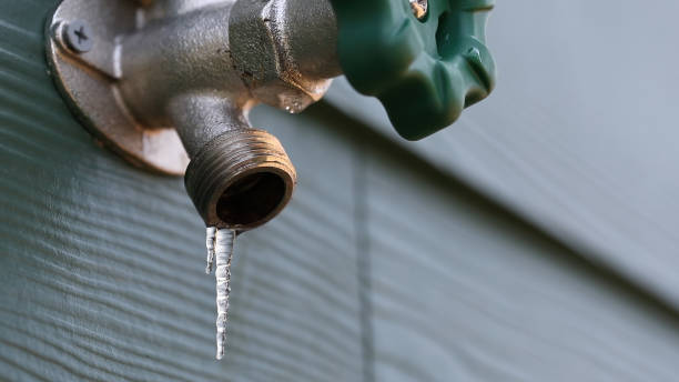 Best Local Plumber Services  in Whitinsville, MA